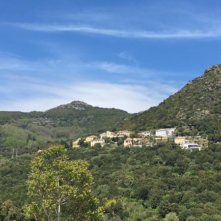 Charmant T2 Hauteurs De Bastia 巴斯蒂亚 外观 照片