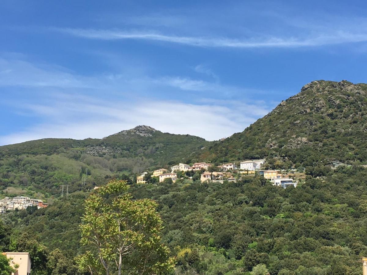 Charmant T2 Hauteurs De Bastia 巴斯蒂亚 外观 照片