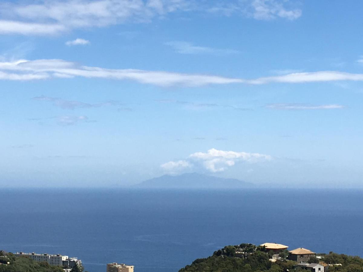 Charmant T2 Hauteurs De Bastia 巴斯蒂亚 外观 照片